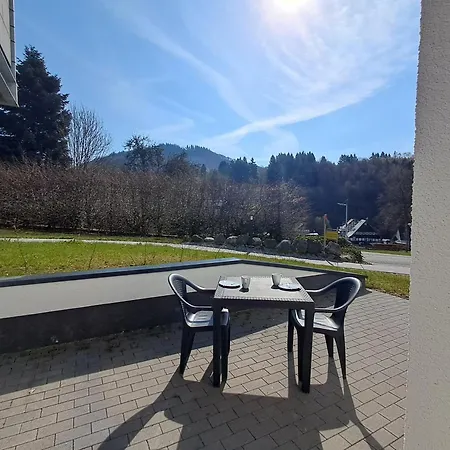 Smart Haus Smaragd Smaragd - Tannenglueck Апартаменты *